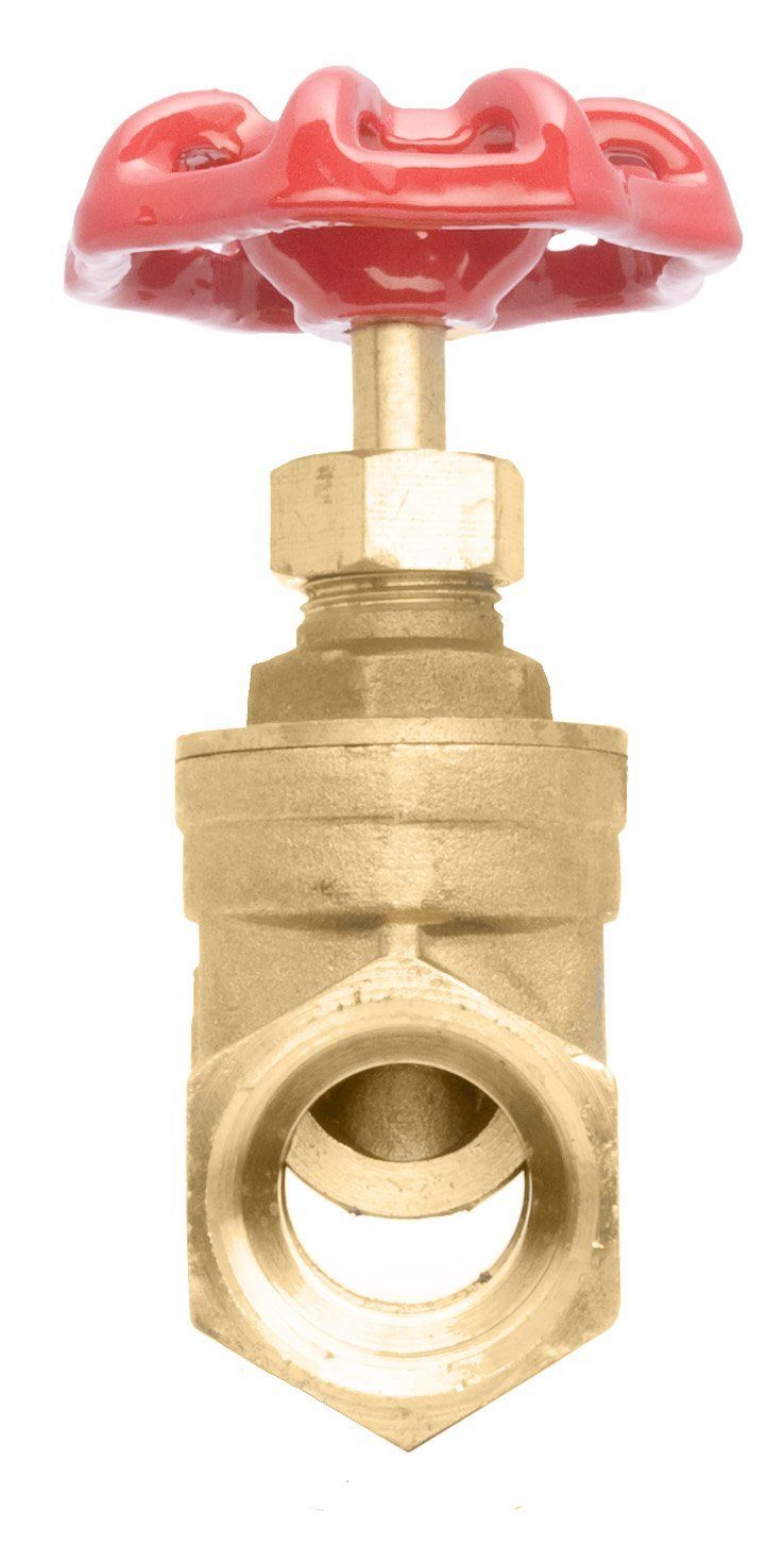 NPT Brass Gate Valve