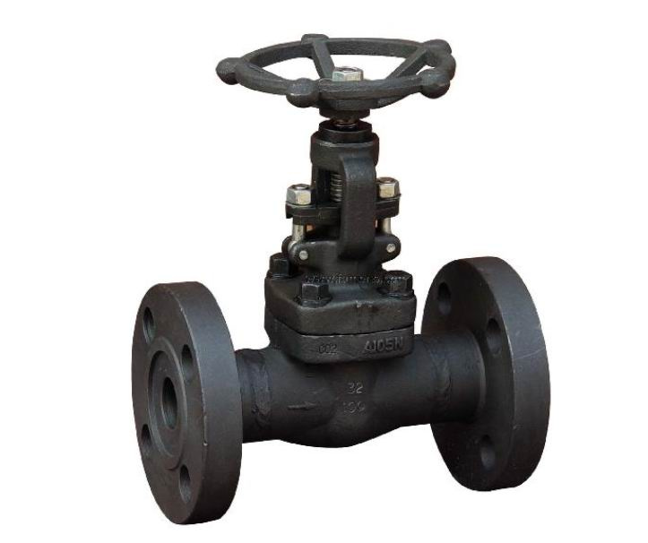 Forged Steel Integral Flanged Gate Valve