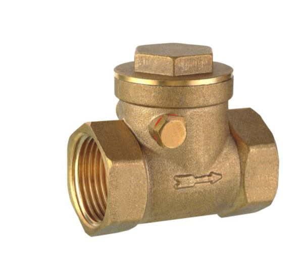 Brass Check Valve (AMT-8005)