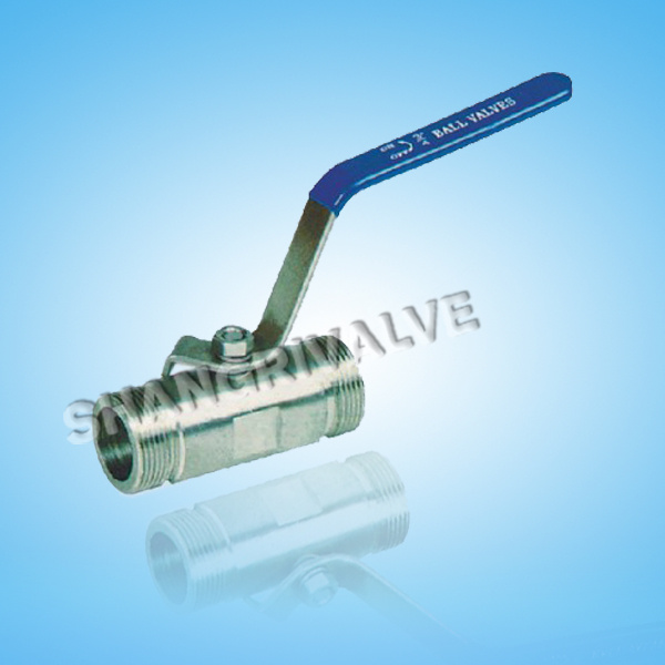 Stainless Steel Mnpt Ball Valve (Q21F)