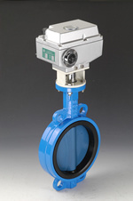 Motorized Butterfly Valve