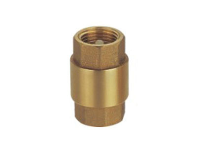 Check Valve (FS-E3101)