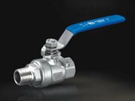 Stainless steel valves