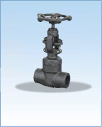 Forged Globe Valve