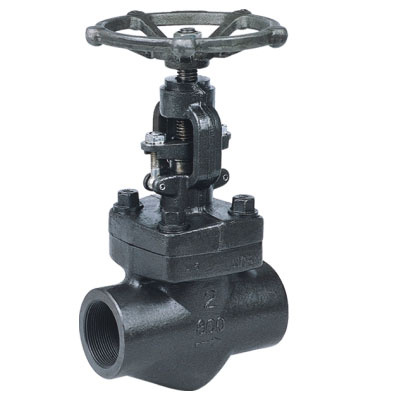 Forged Steel Globe Valves (800LB)