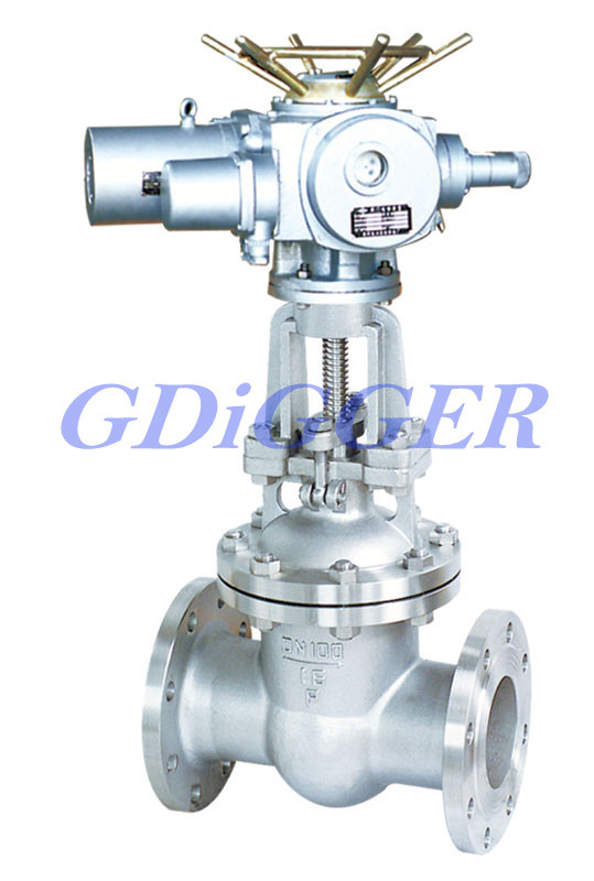 API Stainless Steel Gate Valve