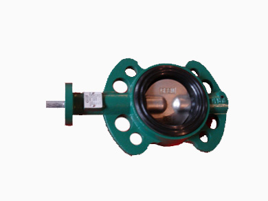 BV3000W Wafer Type Butterfly Valve