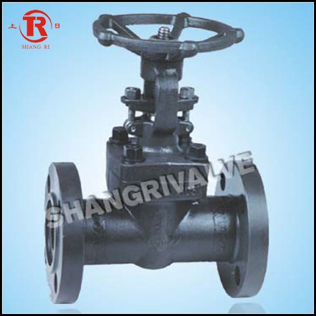 Forged Steel Flange Gate Valve (Z41H-150)