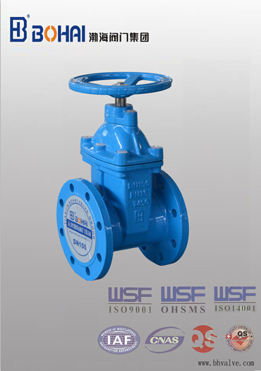 DIN Standard Casting Iron Resilient Gate Valve