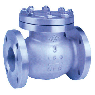 Swing Check Valve (009)
