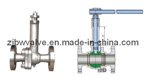 Ball Valve