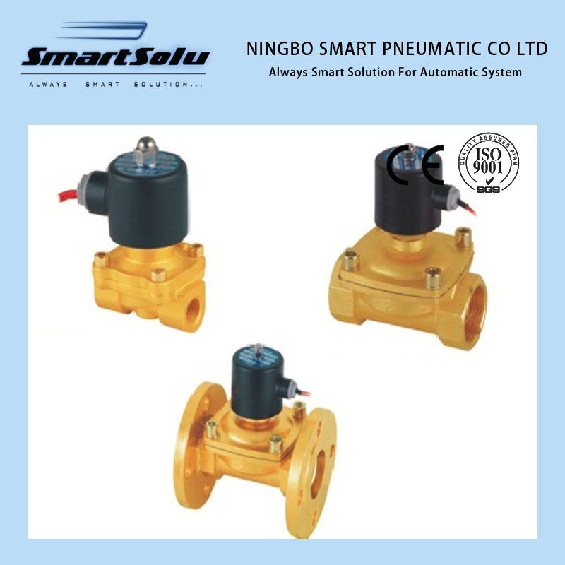 Smart High Quality 2W Series Solenoid Valve