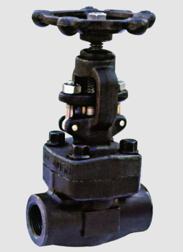 API Forged Gate Valve A105