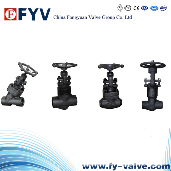 Forged Steel Globe Valve (Class800~2500lb)