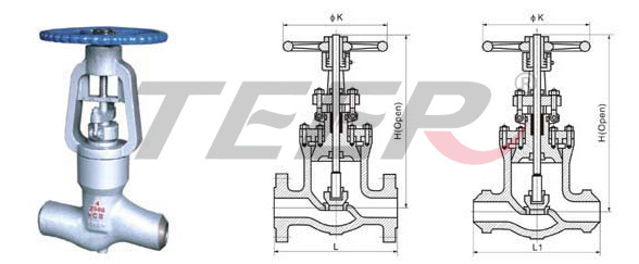 Stainess Steel Global Valve (J41H -150-600LB)