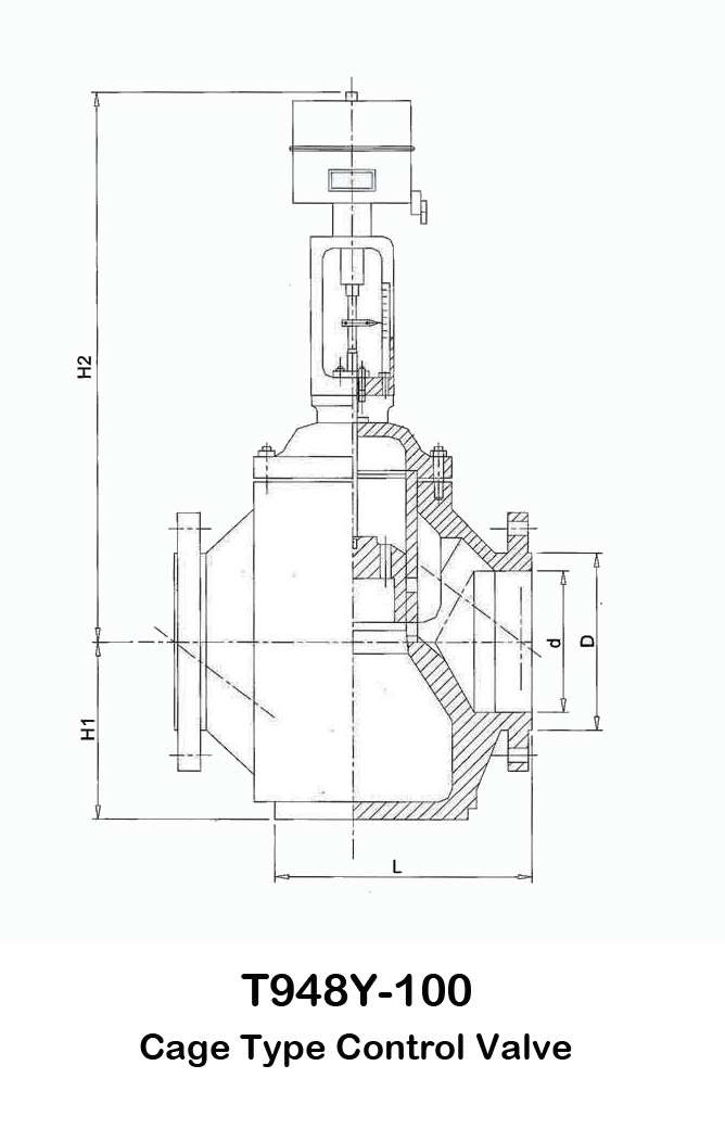 T948y-100 Cage Type Control Valve