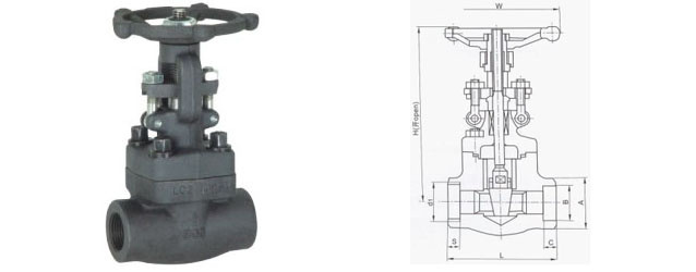 Forged Steel Threaded Gate Valve (professional supplier)
