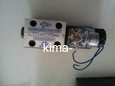 Expansion Valve of XCMG Crane
