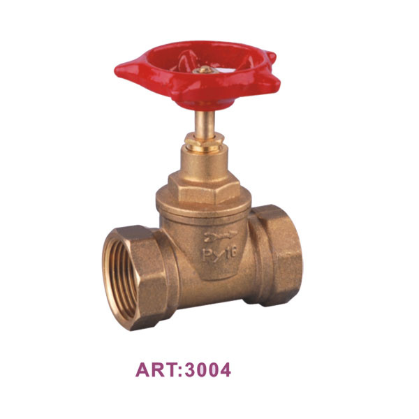 Globe Valve (NO.3004)