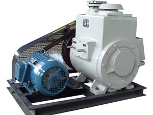 Rotary Vane Vacuum Pump (2X)