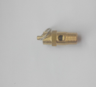 Brass Safety Valve/ Relief Valve for Air Compressor