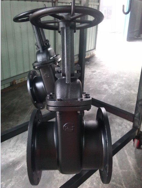 Parallel Double Disc Cast Iron Gate Valve (GOST)