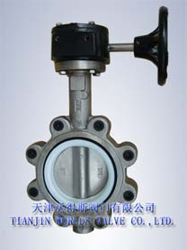 Lug Turbine Driven Butterfly Valve (D7L1X-10/16)