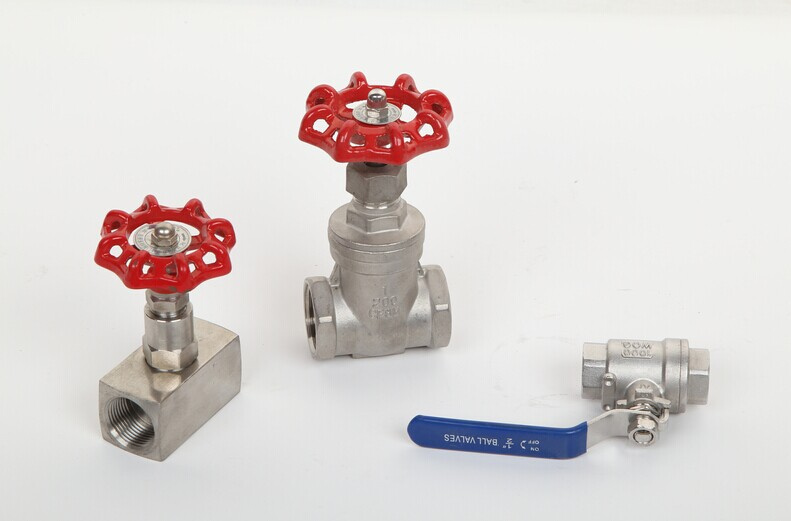 Stainless Steel Valve with High Quality