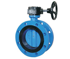Concentric Butterfly Valve