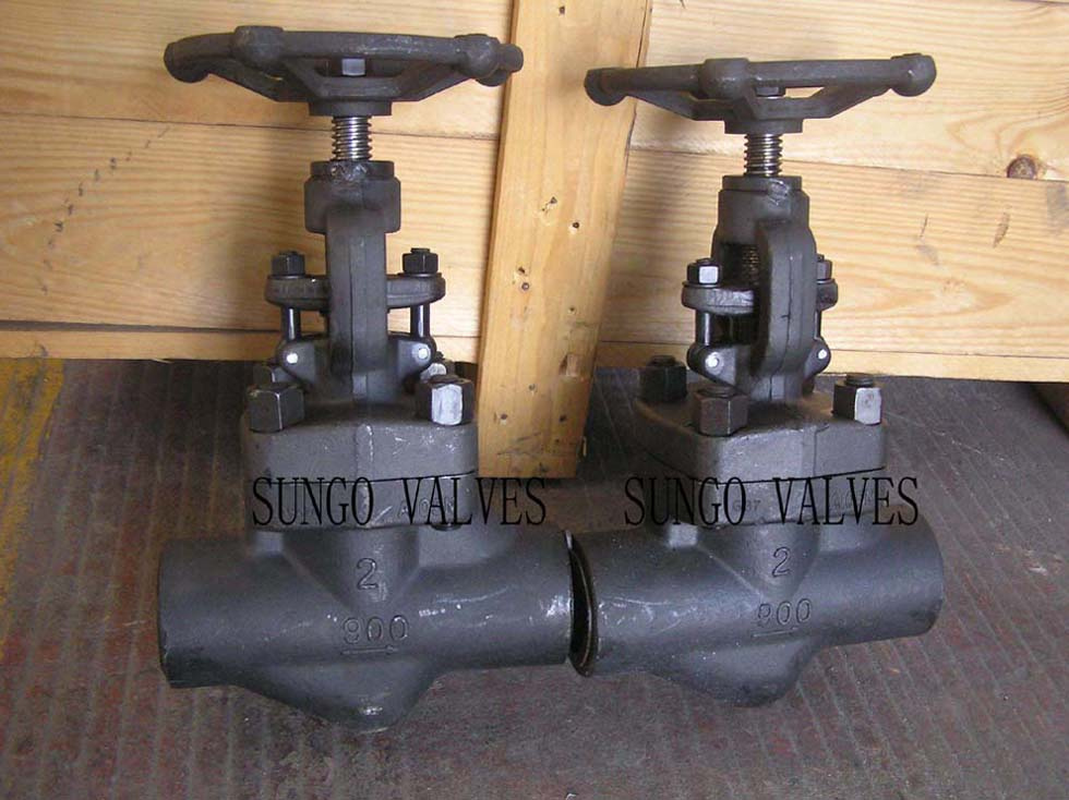 Forged Globe Valve