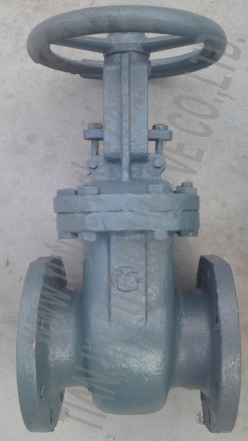 GOST Pn16 Dn100 Cast Steel Gate Valve (Z41H-16C)