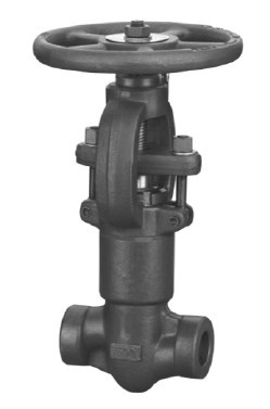 Forged Steel Globe Valve