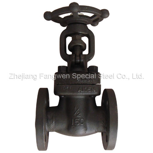 Forged Flange Gate Valve (Z41H/Y)