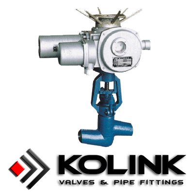 Actuated Globe Valve, Pressure Seal Type