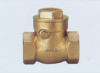 Check Valve