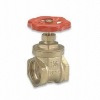 Gate Valves (ITG101)