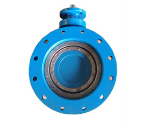 Double Offset Butterfly Valve