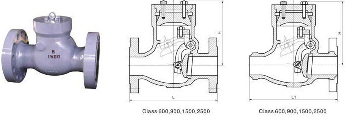 Pressure Seal Swing Check Valve