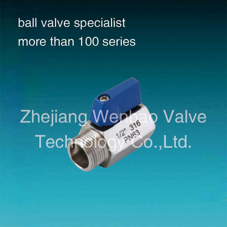 Male to Female Bsp Threaded Stainless Steel (304 316) Mini Ball Valve