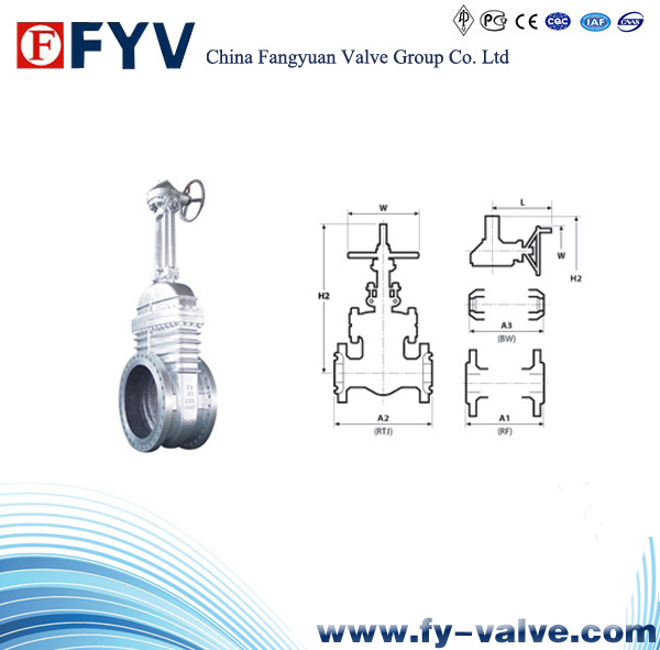 Cast Steel API 600 Gate Valve