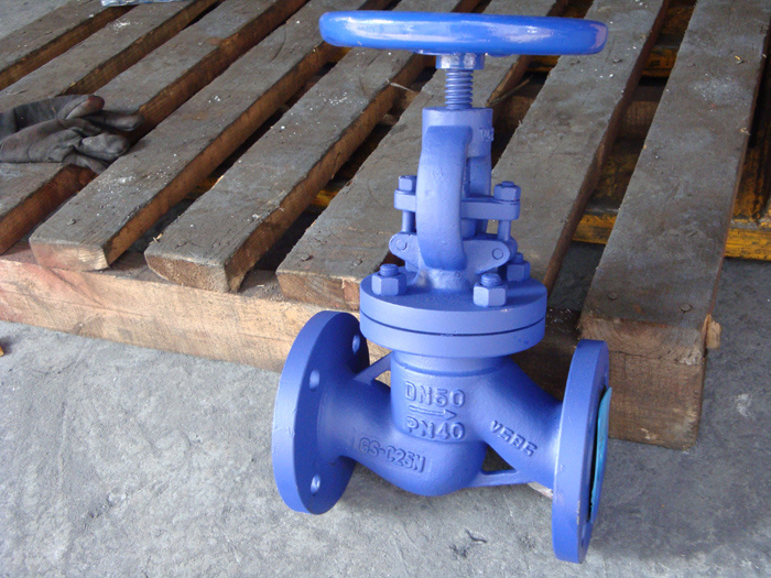 Din Globe Valve