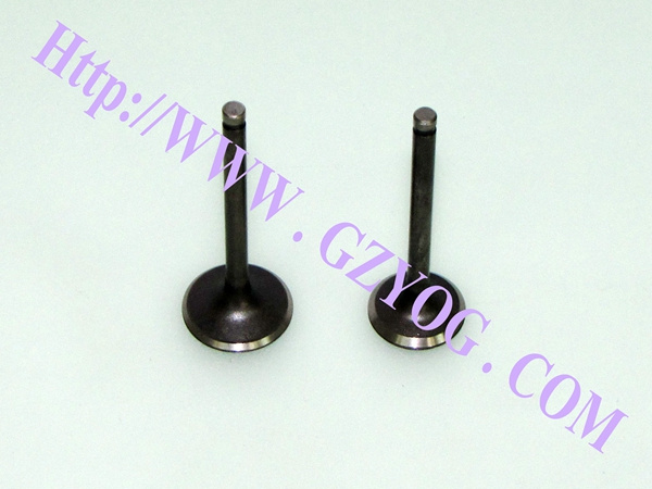 Yog Motorcycle Engine Parts Valves Vivax-115
