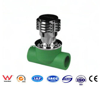 PPR Anti-Bacterial Fittings Unrising Valve