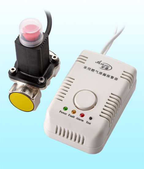Gas Detector with Shut Off Valve (AK-200FC/H+DN20)