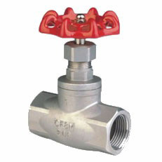 API Stainless Steel Threaded Globe Valve (304, 316)