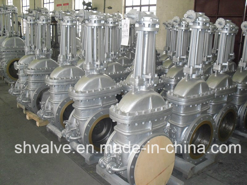Cast Steel Extended Bonnet Gate Valve