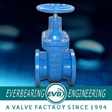 Gate Valve (GTV-071-B)