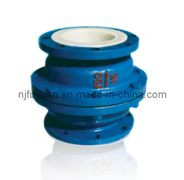 PFA Lined Check Valve H (42)