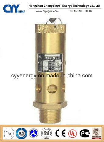 Cryogenic Oxygen Safety Valve