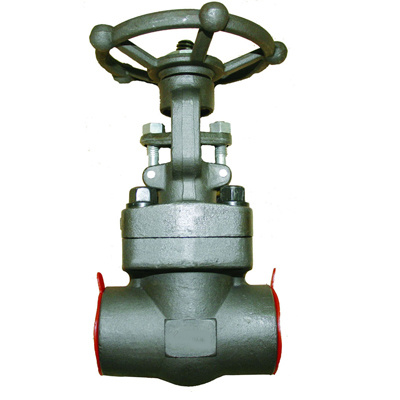 Forged Steel Gate Valves